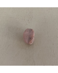 Oliva sagomata Mis 1 Rosa puntinata