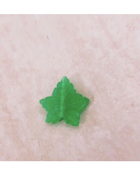 FOGLIA D'edera verde fluo